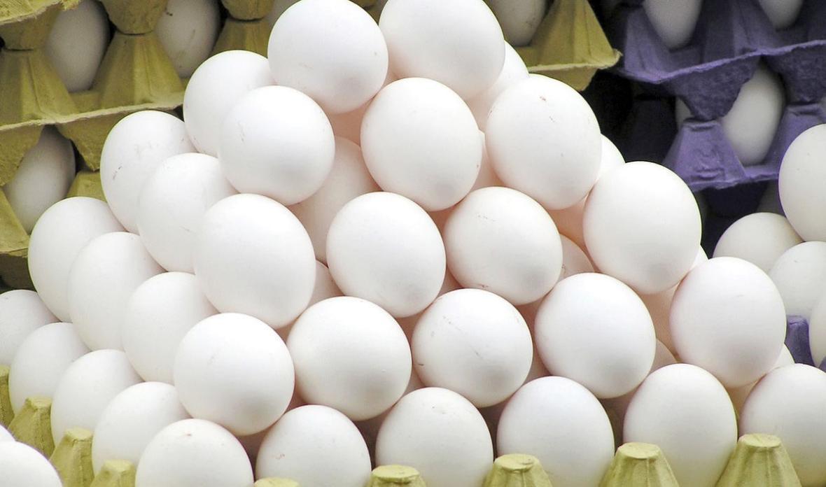 ترکاشوند: 60 هزار تن تخم مرغ در نیمه اول امسال صادر شد