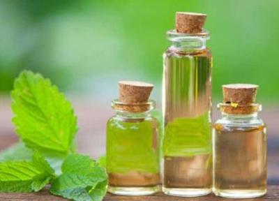 خواص درمانی روغن نعناع و برترین راه های استفاده از آن